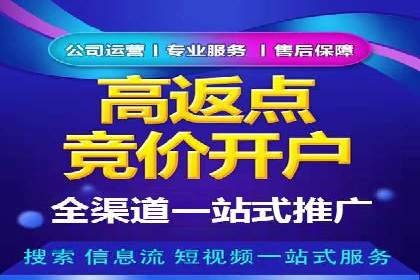 百度竞价代理的投放技巧与效果评估案例